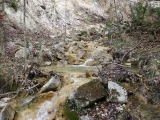 dscf6944
