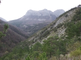 dscf6946