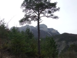 dscf6947