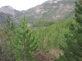 dscf6949