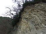 dscf6950