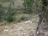 dscf6951