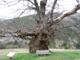 dscf6960