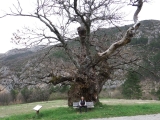 dscf6962