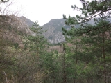 dscf6965