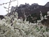 dscf6966