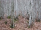 dscf6807