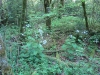 dsc04435