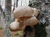 1_P1090215