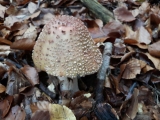 20191101_090431