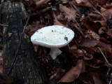 20191101_091356