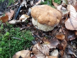 20191101_091547