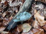 20191101_091713