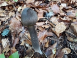 20191101_091744