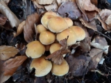 20191101_094227