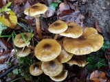 20191101_112228