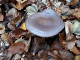 20191119_102236