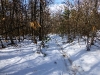 p1020868