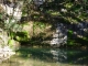 DSCF9706