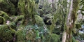 P1010546