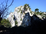 dscf6593