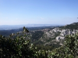 dscf6693