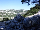 dscf6695