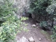 dscf6610