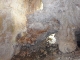 dscf0113