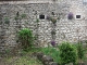 dscf7024