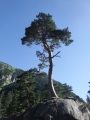 dscf0692