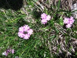 dscf0786