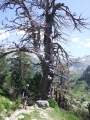 dscf0798