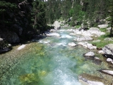 dscf0808