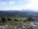 DSCF8894