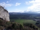 DSCF8898