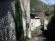 DSCF8903