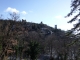 DSCF8908