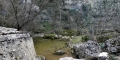 P1160996