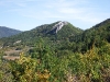 dscf2099