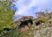 IMG_20221111_095959