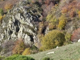 IMG_20221111_122730