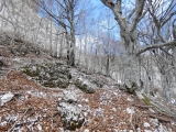 P1040066