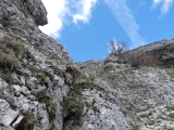P1040068