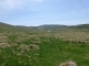 P1010300.JPG
