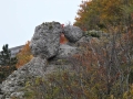 P1080934