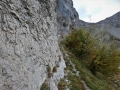 P1090011
