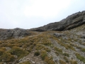 P1090046