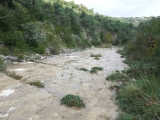 dscf1810
