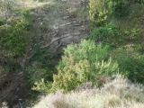 dscf1811